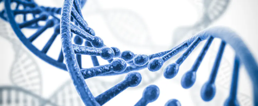 /img/bigstock--d-render-of-dna-structure-ab-64581862.jpg banner