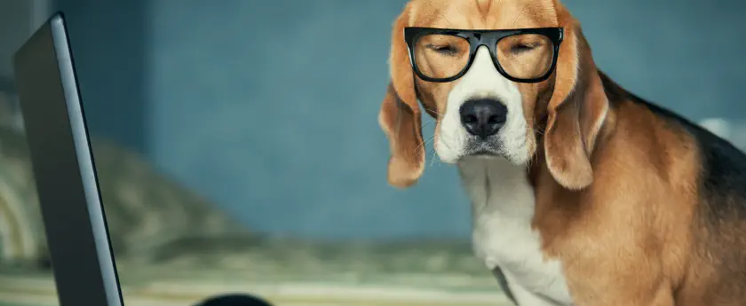 Creative Employee Engagement Ideas banner